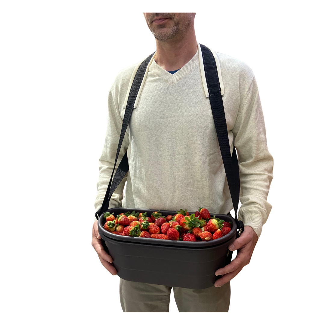 Design sem nome (15)