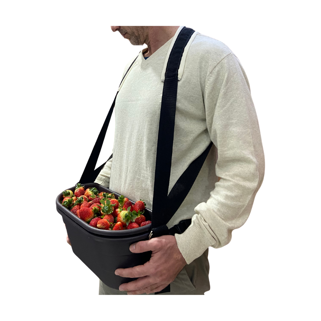 Design sem nome (16)