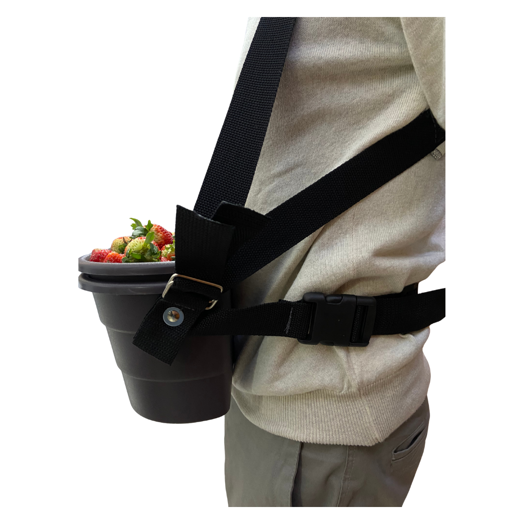 Design sem nome (19)