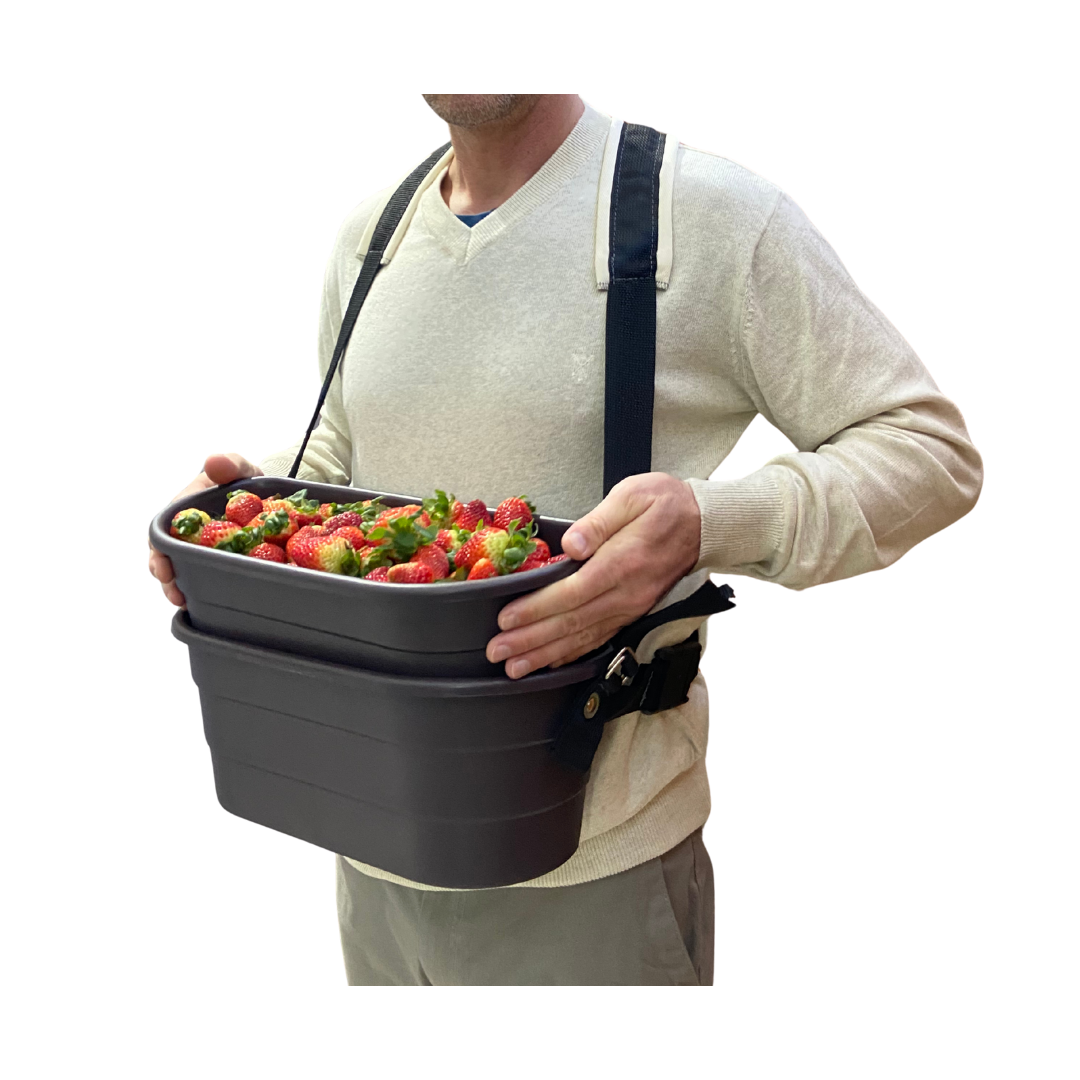 Design sem nome (21)