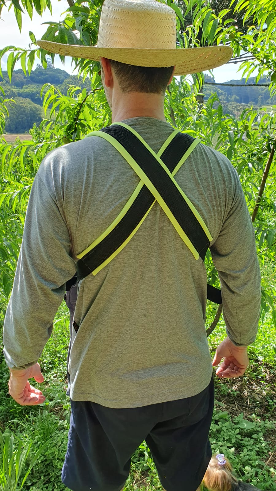 317d99db-8383-4a23-9caa-c10db47ce997