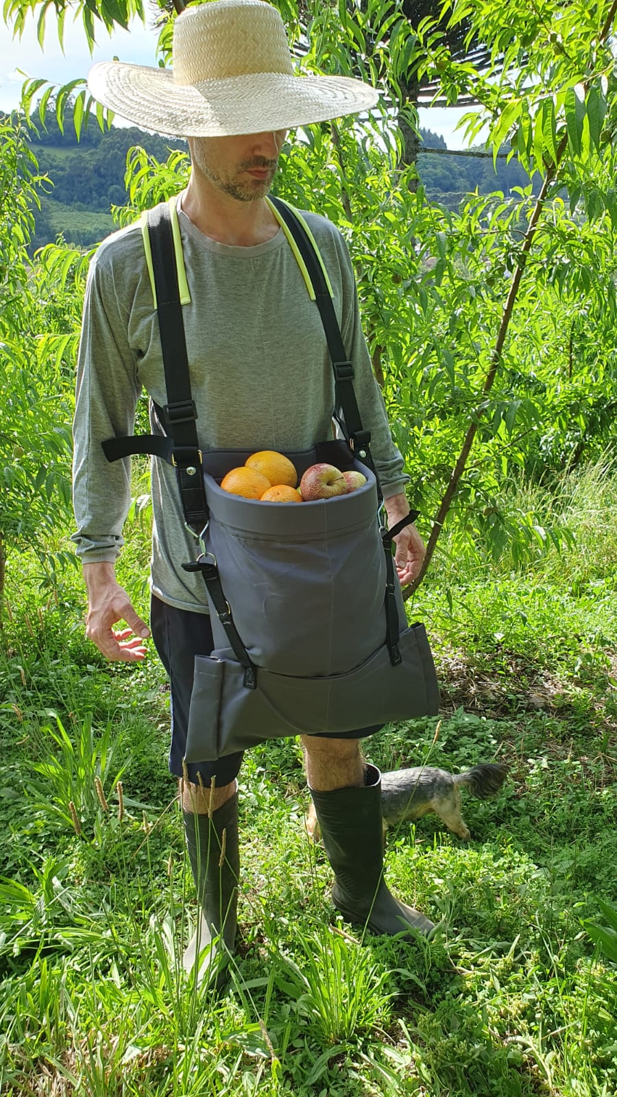 6fed8897-4000-494b-9e7b-92d8ba4bc338