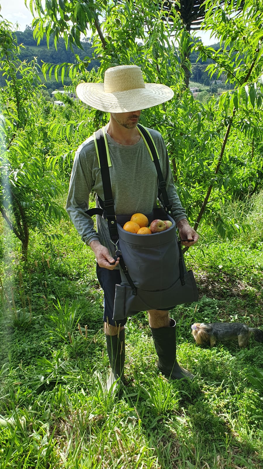 7a80ac72-7c1a-4633-ad5e-f0ead2540e89