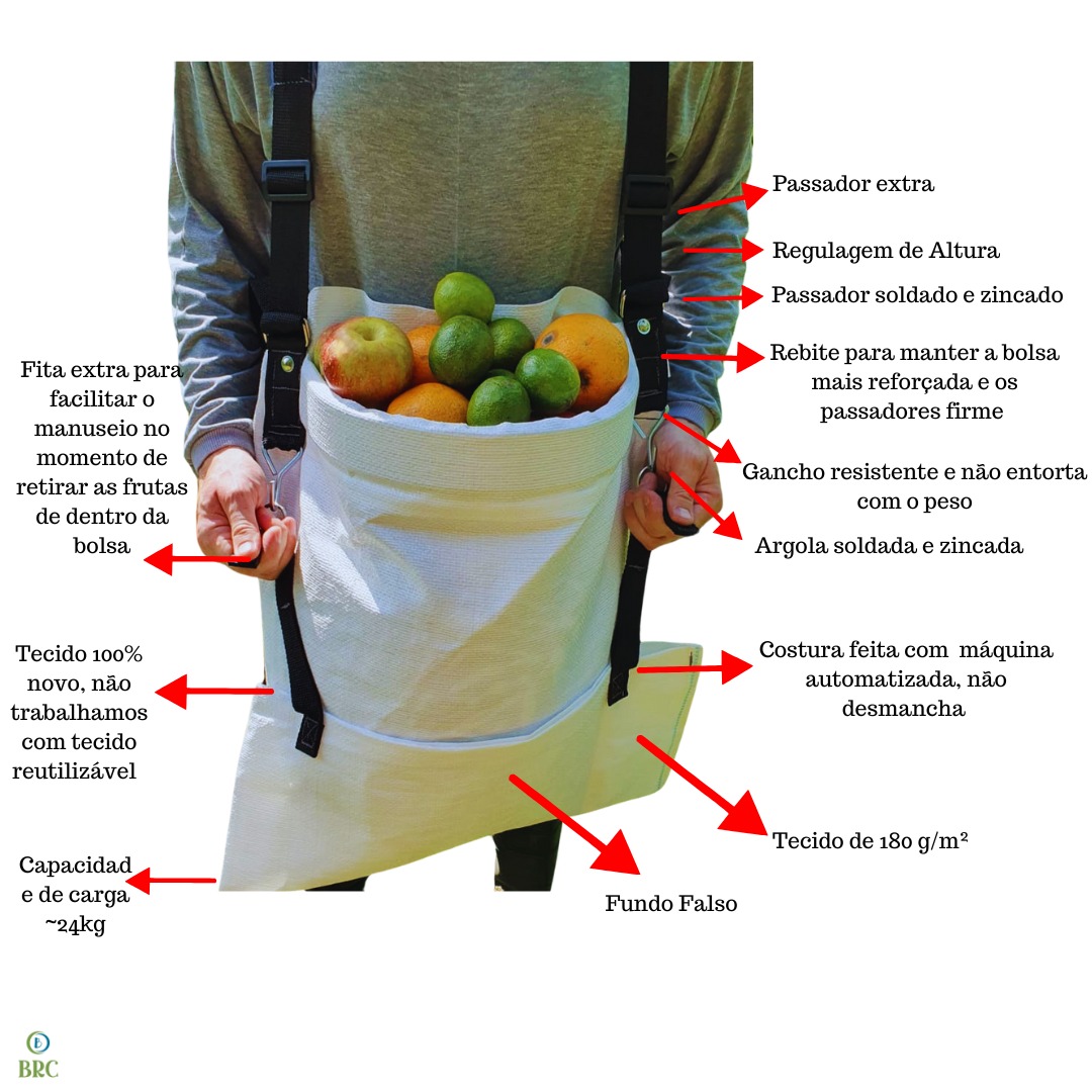 WhatsApp Image 2024-11-19 at 08.52.05