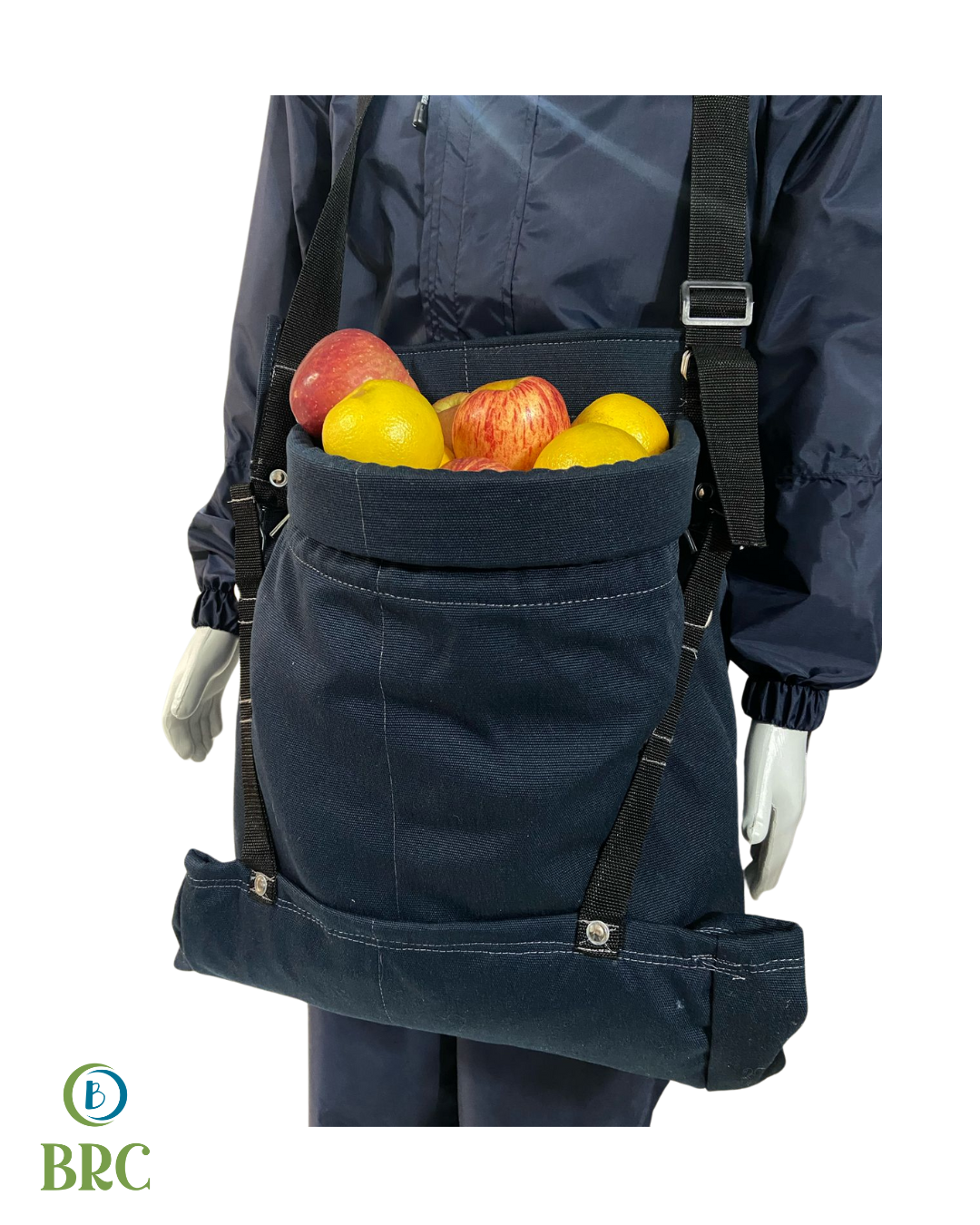 Sem nome (Post para Instagram (45)) (4)